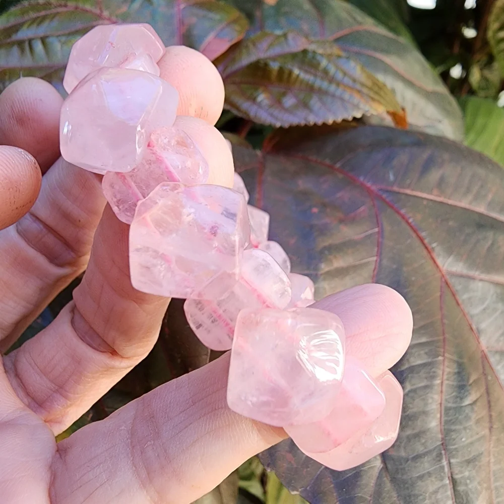 Easy tender rose